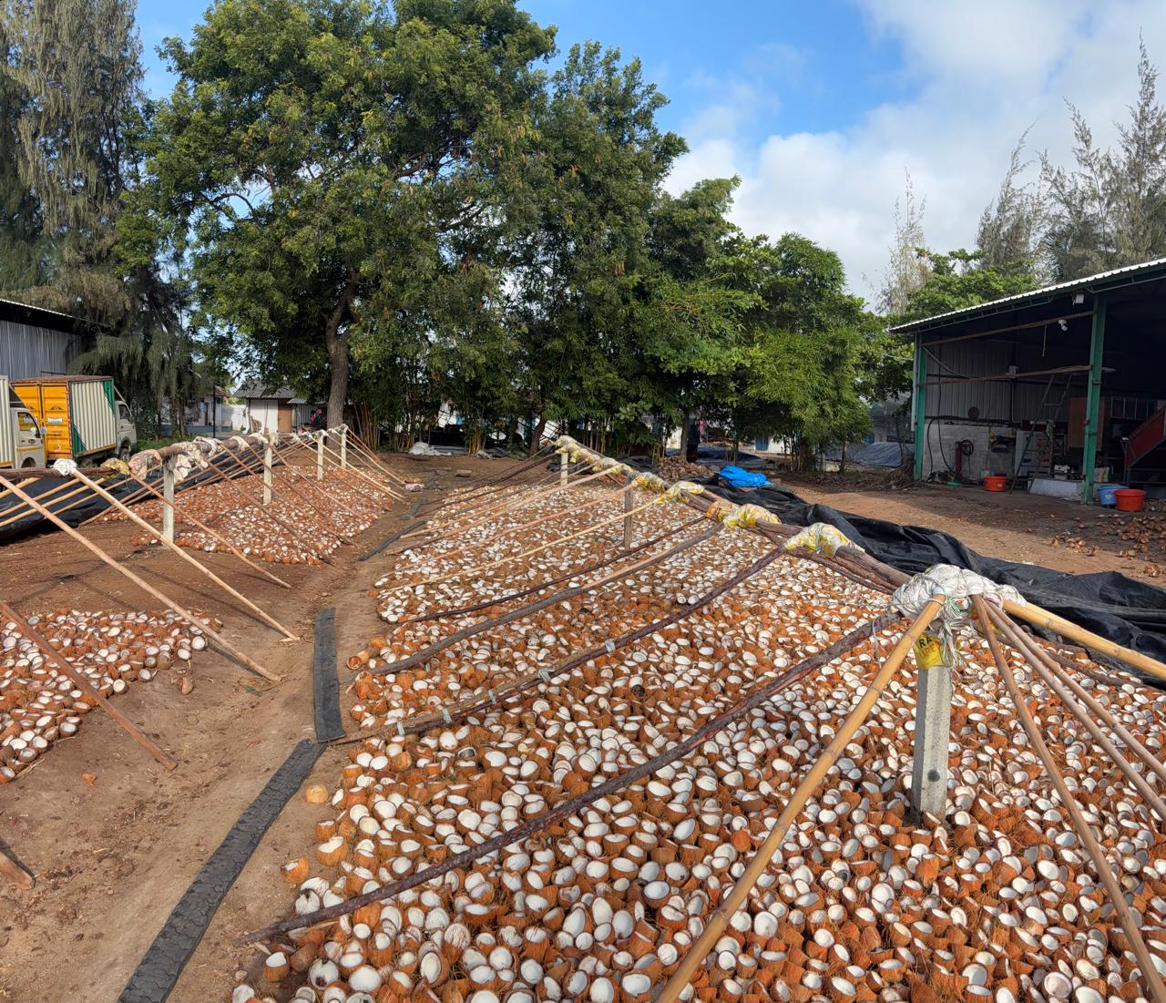 Copra drying across our facilities