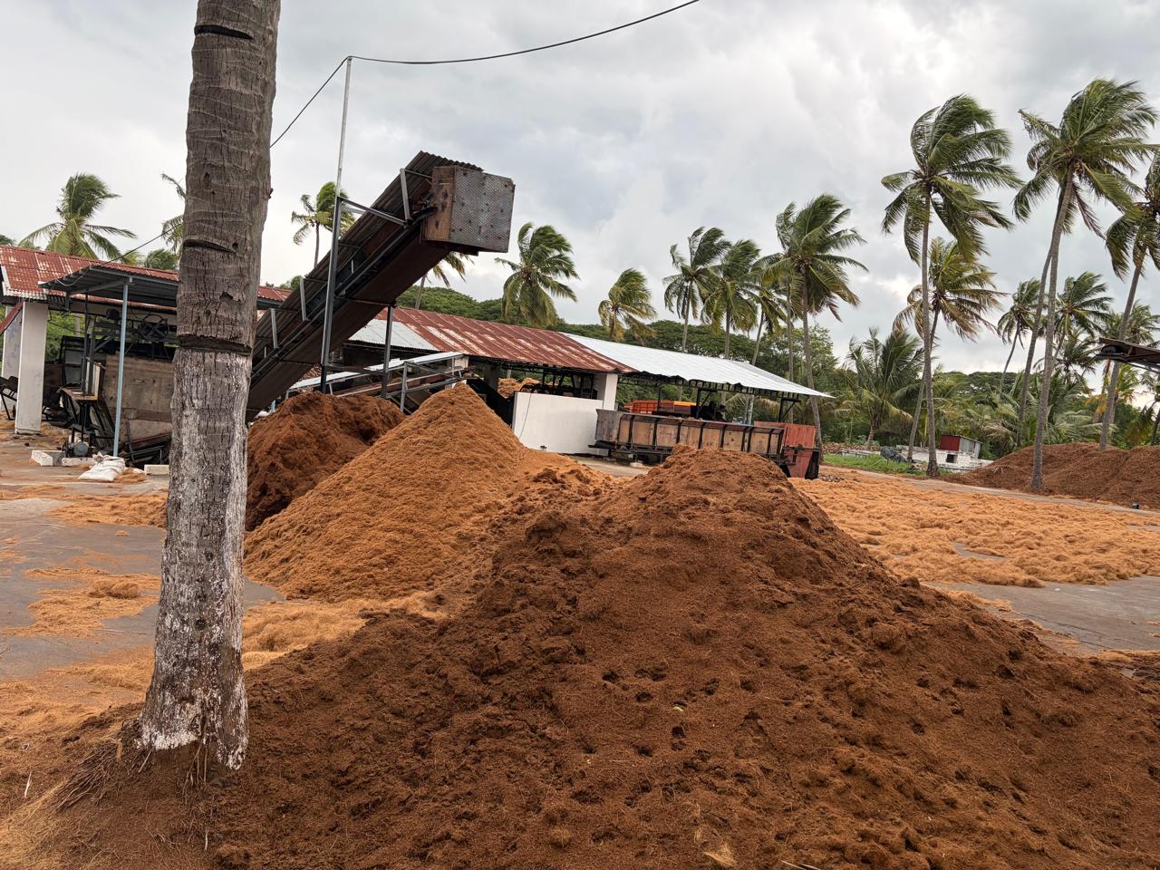 Processed coir fibre monitored for quality and consistency
