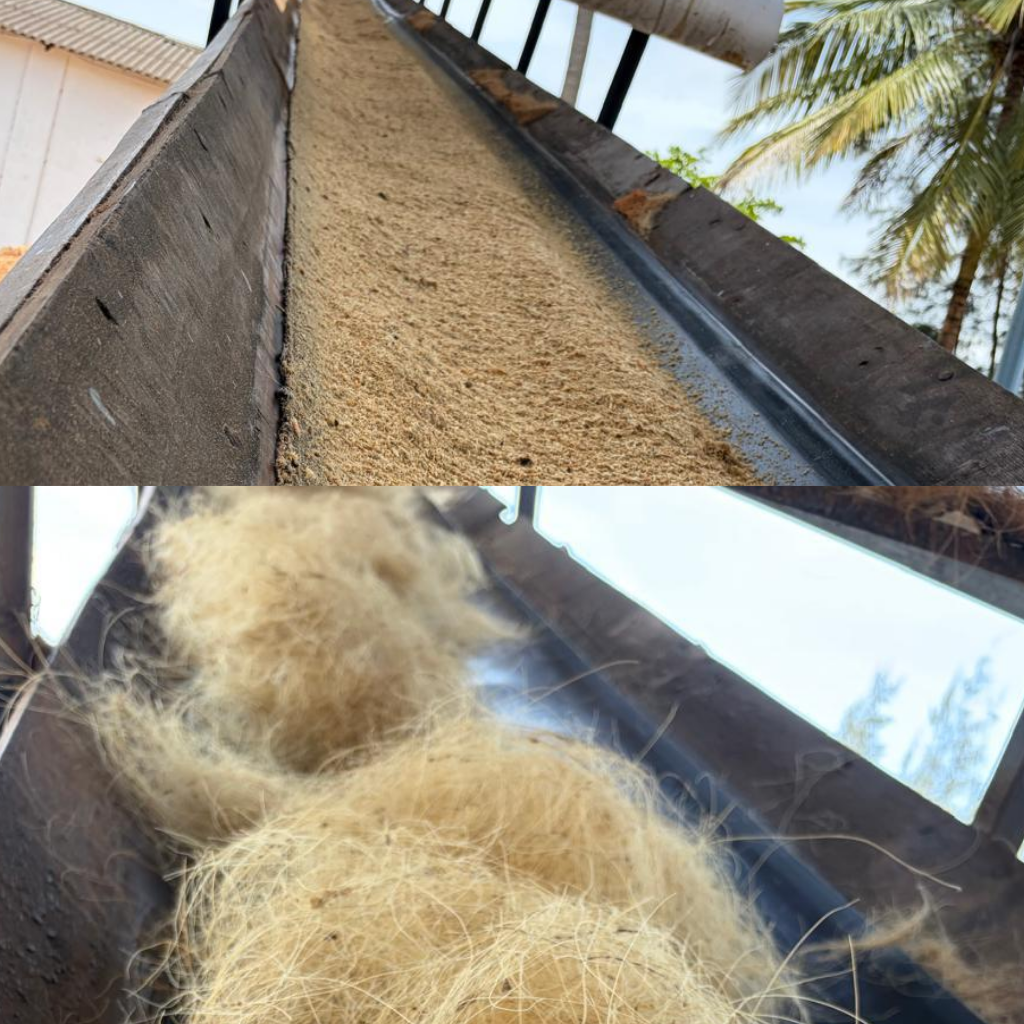 Coir fibre separated from pith during extraction