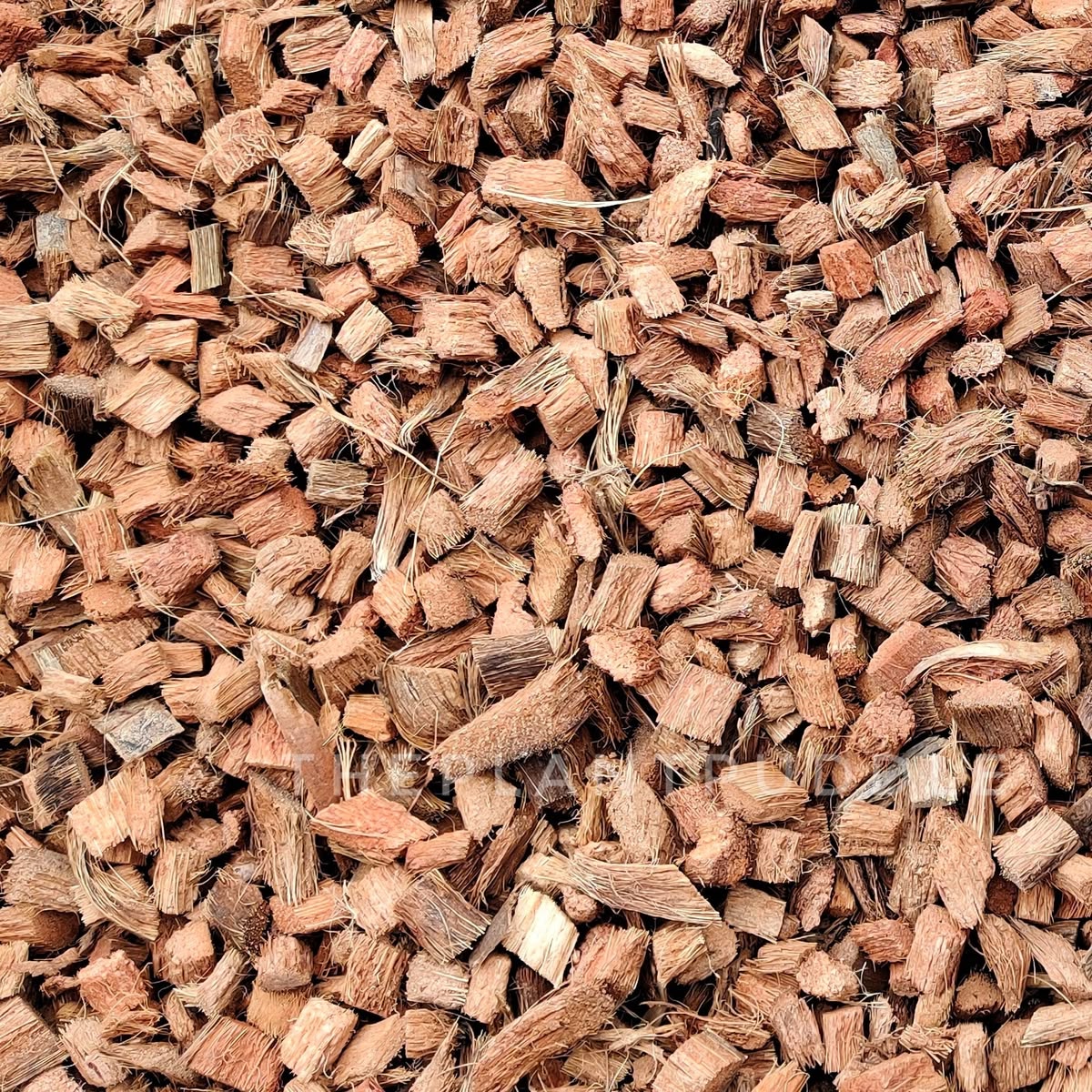 Coco Chips