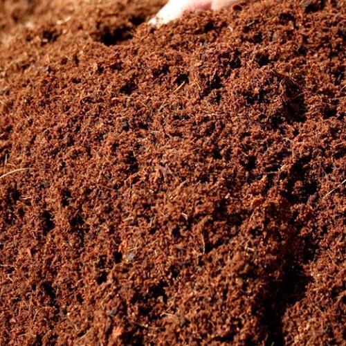 Coco Peat / Coir Pith